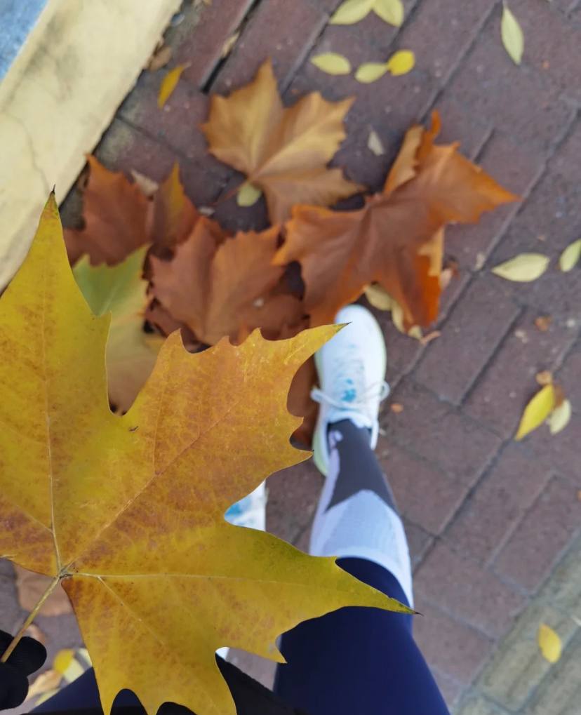 Sport as a way of life