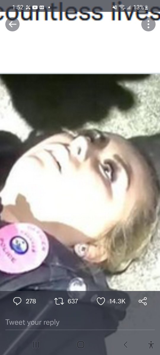 Hogan Torah tweet media