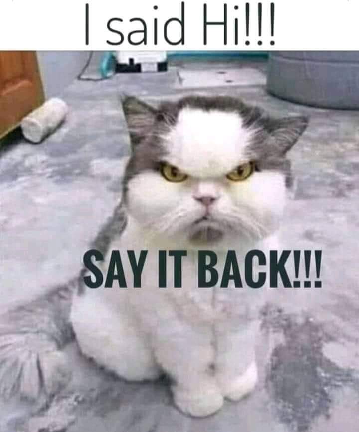 <a href="/Miss__Kitty__/">Murder Mittens</a> Hi.!   Now.........⬇️