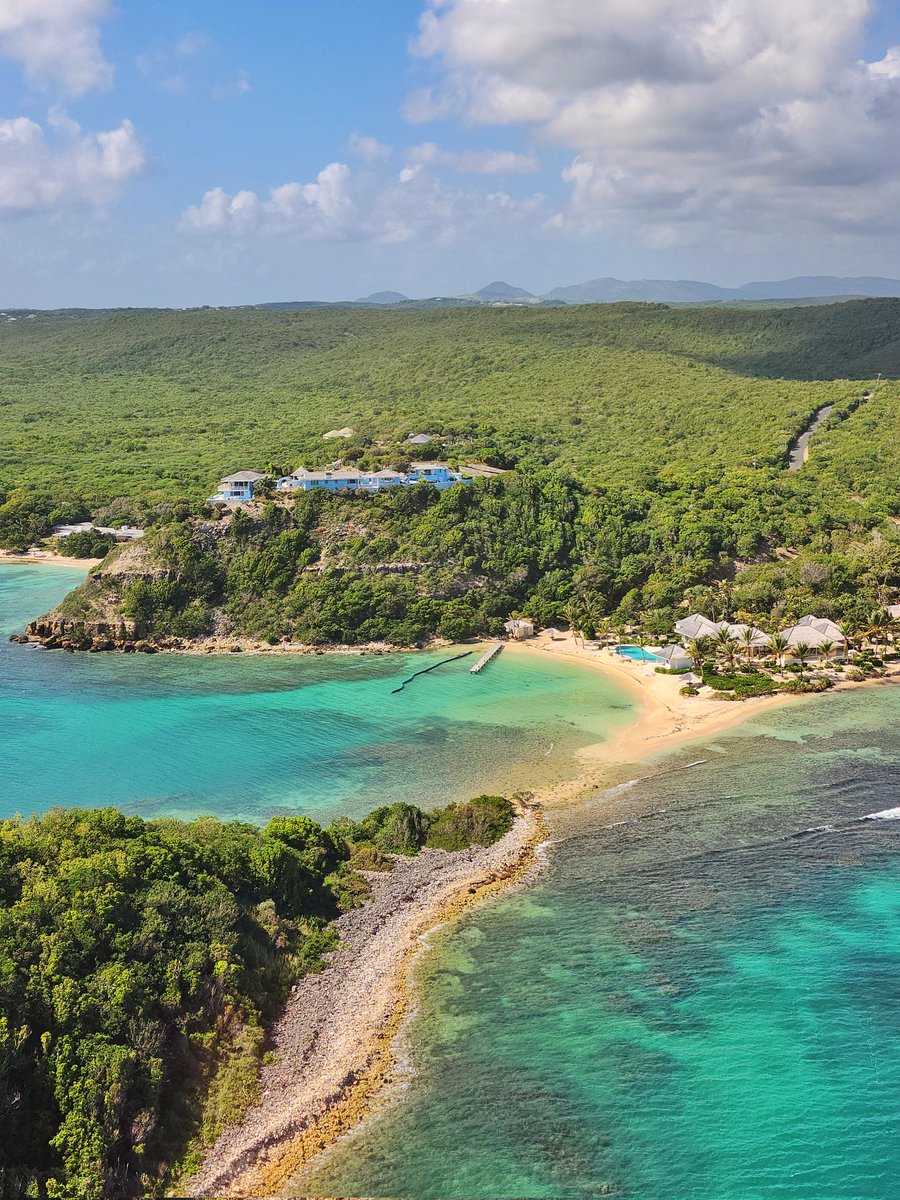 Scott Eddy ✈️ tweet media