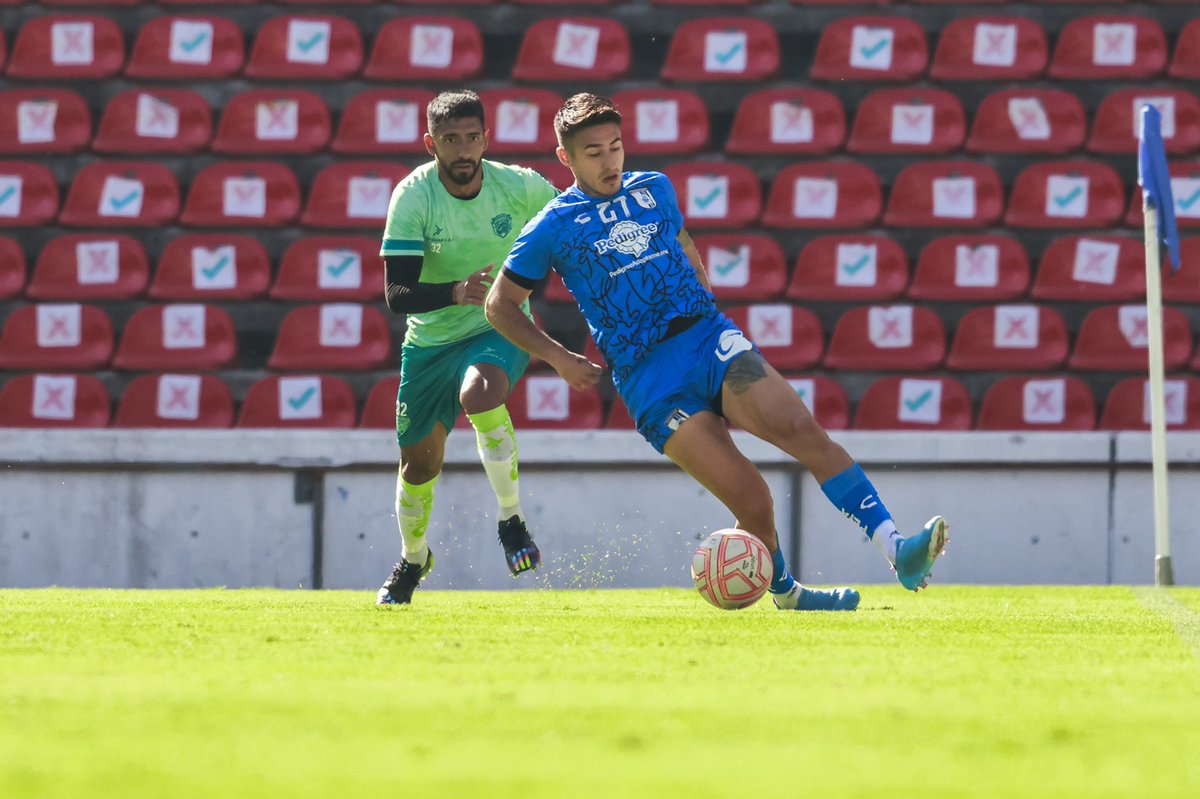 Gallos Blancos 🐓 tweet media