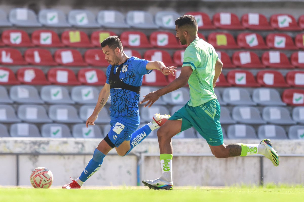 Gallos Blancos 🐓 tweet media