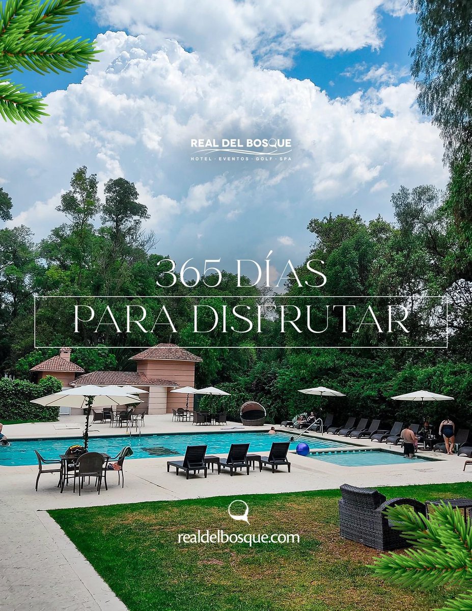 Realdelbosque's tweet photo. ¡La temporada más mágica del año ya está aquí! ¿Listo para unas vacaciones navideñas?🌲  Reserva aquí: 👉🏼https://t.co/UmUyPZY3Ni https://t.co/M3ByNPbcAN