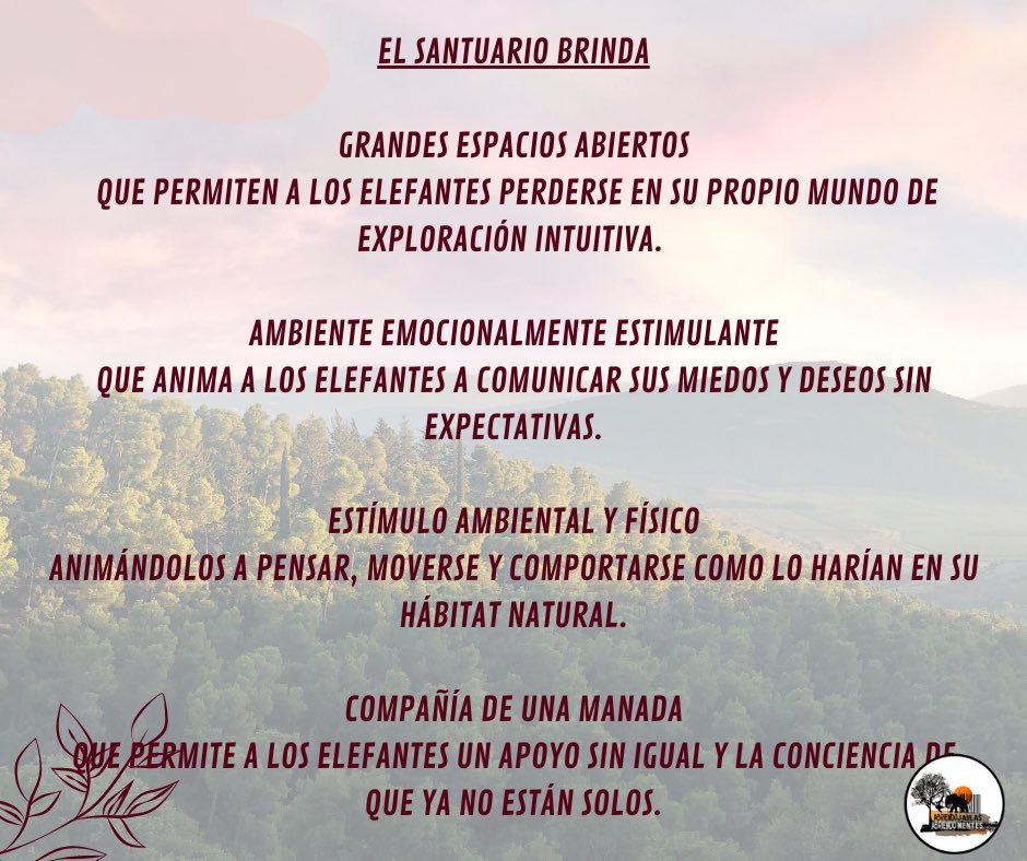 AJaulas's tweet image. La #SOLEDAD de #Ely no se puede resarcir con la poca interacción que le dan en el @zooaragon. 
@ZoologicosCDMX ¿tienen algún #AvanceCientífico que avale su insistencia en magnificar la labor básica del cuidador?.
@Claudiashein #JusticiaParaEly
Permita la #ColaboraciónExterna