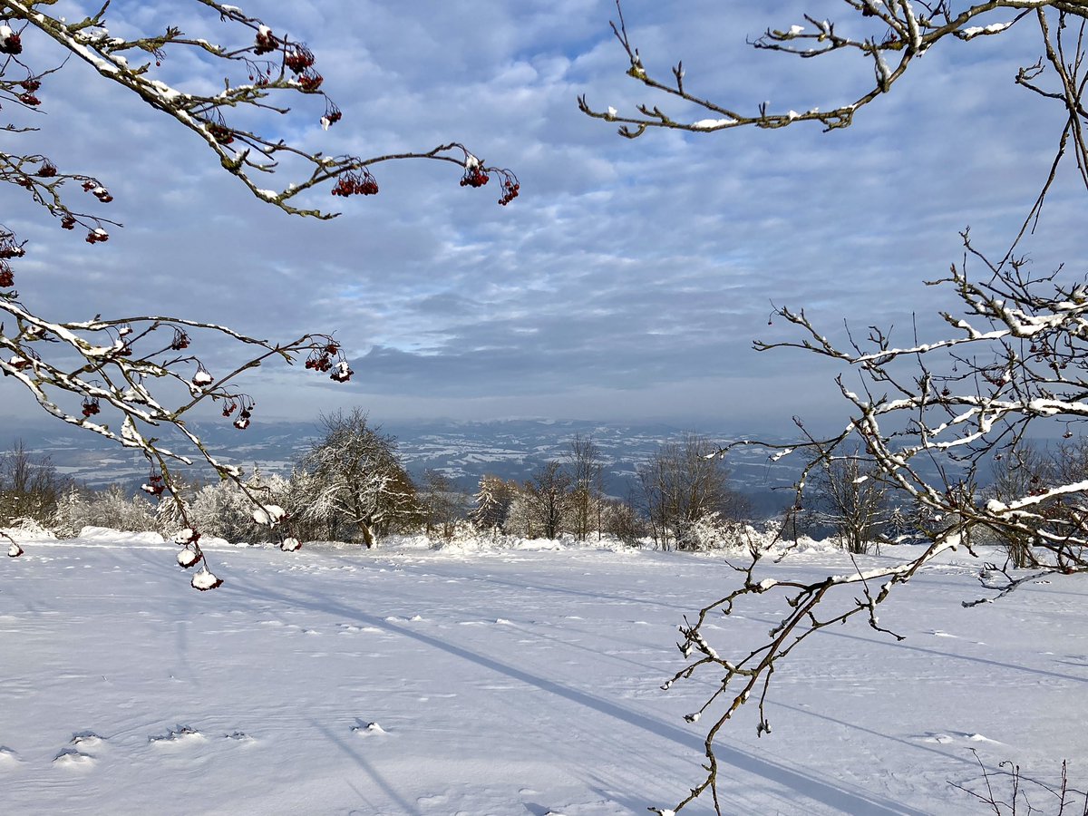 ludek_svoboda's tweet photo. in the stillness of remembering #kozakov #trailrunning https://t.co/PME6KxTjyb