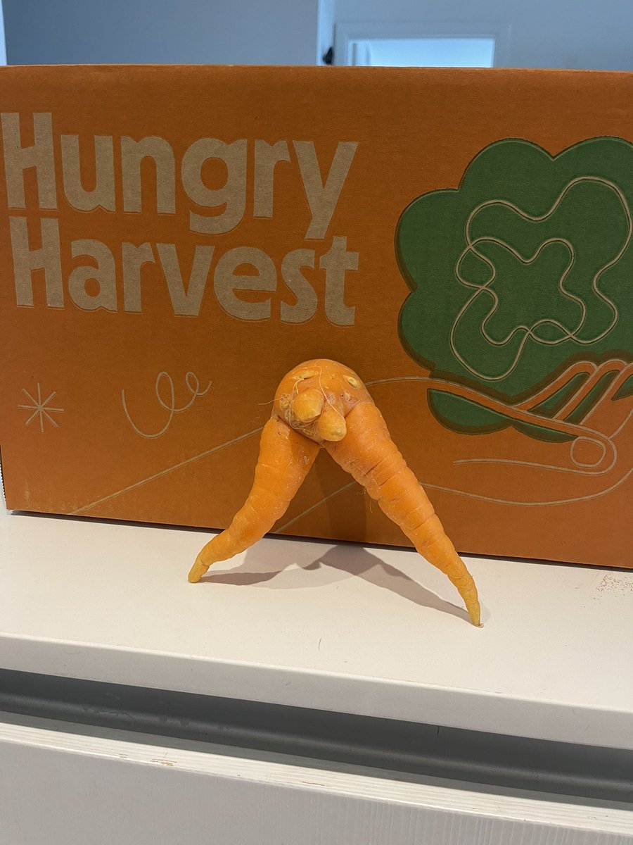 Candace (Berman) Sheitelman tweet media