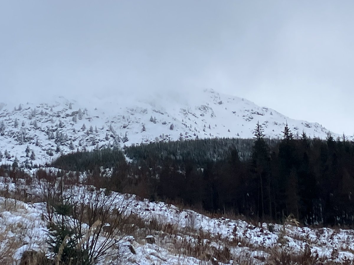 naturaltrossach's tweet photo. Walked some forestry track roads where no one had been after the snow. The quietness was amazing although in the back of my head I did wander where everyone was!!
Super training for any walking to #Roncesvalles in March from #SJPdP #caminodesantiago #Caminofrances https://t.co/BEWQRvOfoV