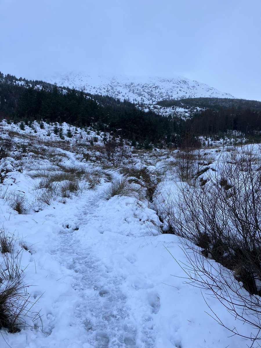 naturaltrossach's tweet photo. Walked some forestry track roads where no one had been after the snow. The quietness was amazing although in the back of my head I did wander where everyone was!!
Super training for any walking to #Roncesvalles in March from #SJPdP #caminodesantiago #Caminofrances https://t.co/BEWQRvOfoV