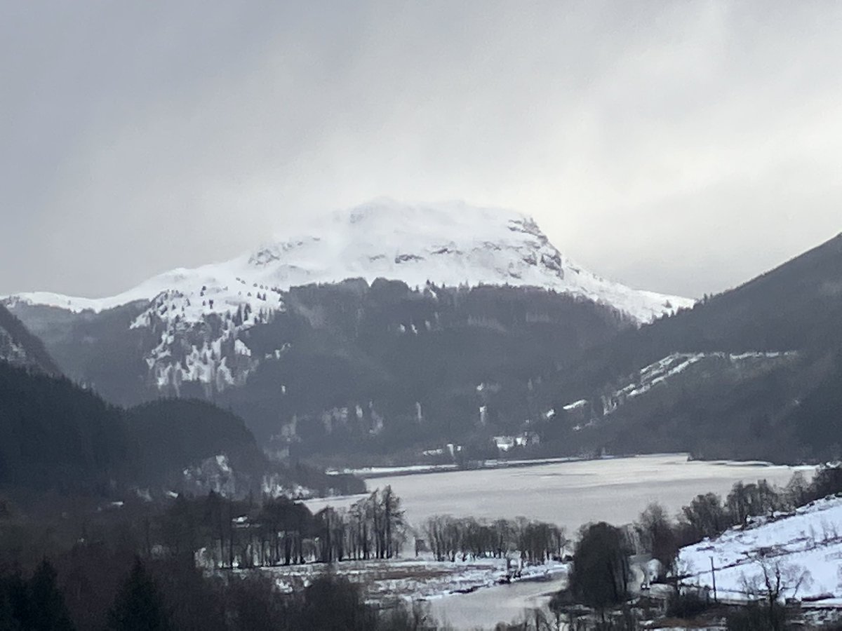 naturaltrossach's tweet photo. Walked some forestry track roads where no one had been after the snow. The quietness was amazing although in the back of my head I did wander where everyone was!!
Super training for any walking to #Roncesvalles in March from #SJPdP #caminodesantiago #Caminofrances https://t.co/BEWQRvOfoV