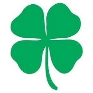 SolidarNetwork's tweet image. #NewProfilePic