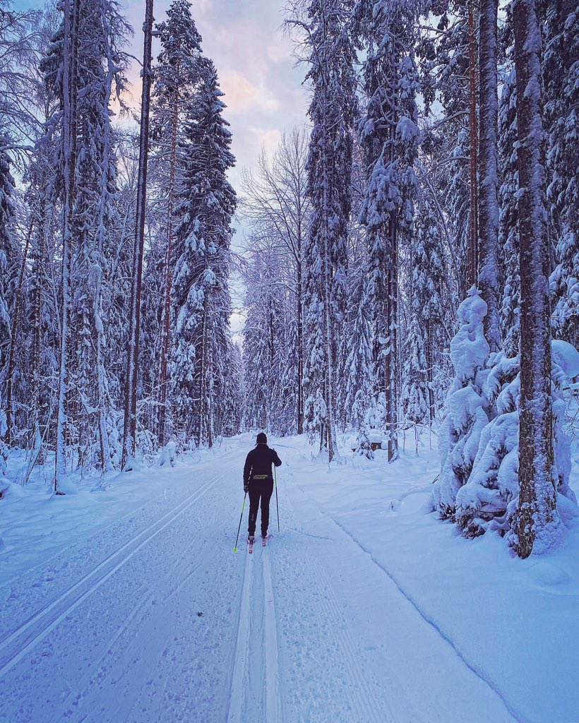 HeidiKajan's tweet photo. Latu vie, melkein itsestään, potkut ja sauvantyönnöt, maastoa noudatellen, jäsenet ja elimistö vertyvät rytmiin, mieli hiihtää, hiljaisuutta, kinoksia. 

-Tuomas Anhava 

#hiihto
#avotmikäreissu
#kelihelli https://t.co/Sq4Y4a9U4I