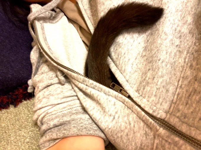 ソファでゴロゴロしてたらパーカーの胸元から謎のモフモフした物体が…!? 
