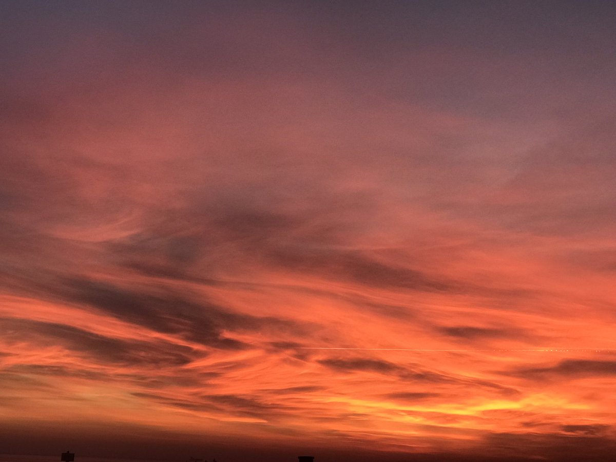 Klinik Psikolog İrem Toprakseven tweet media