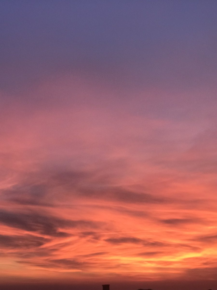 Klinik Psikolog İrem Toprakseven tweet media