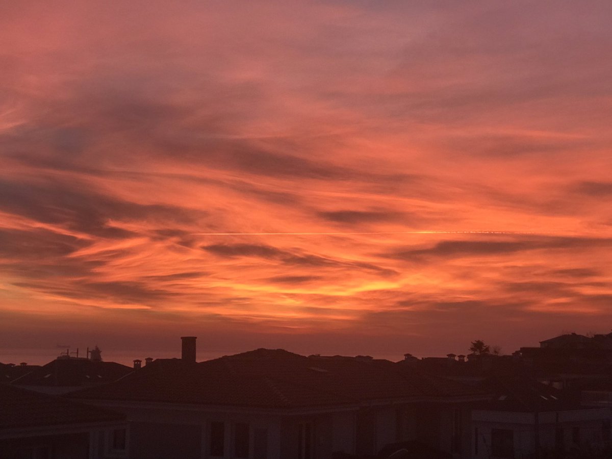 Klinik Psikolog İrem Toprakseven tweet media