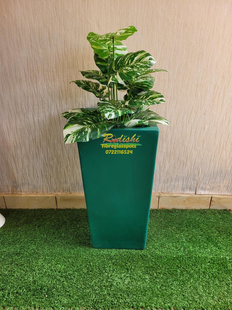 Rodishifibrepot's tweet photo. Adopt the pace of nature with our #fibrepots . Our #fibreglass flower pots are durable and are all weather. DM via 0722116524 0r visit us at Ridgeways besides Saj or Lavington.
#pots #planters #nature #flowers #indoorpots #interiors #homedecor #outdoorpots #corporate #fibreglass https://t.co/giIgB9lU20