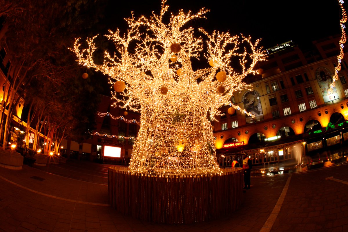hallaboutafrica's tweet image. Glistening for the season. Nothing says Christmas in African than the electric light baobab tree at Nelson Mandela Square in Johannesburg.