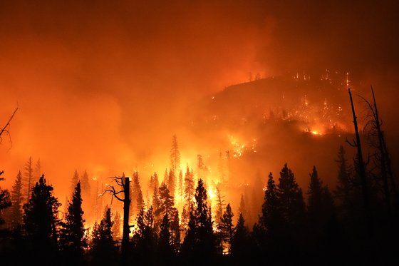 CoinJw's tweet photo. Every year we loose our forest and the largest air purifier! We should find solution to prevent those disaster!
How can we do?

Temperature difference, fog, Cloud, Lymph(storage)
https://t.co/ddyLiKEam7

#ESG @elonmusk  #fire #forest #CO2 #LosAngeles #trukiye #gironde #Aklagelen https://t.co/5p3wcVU1eT