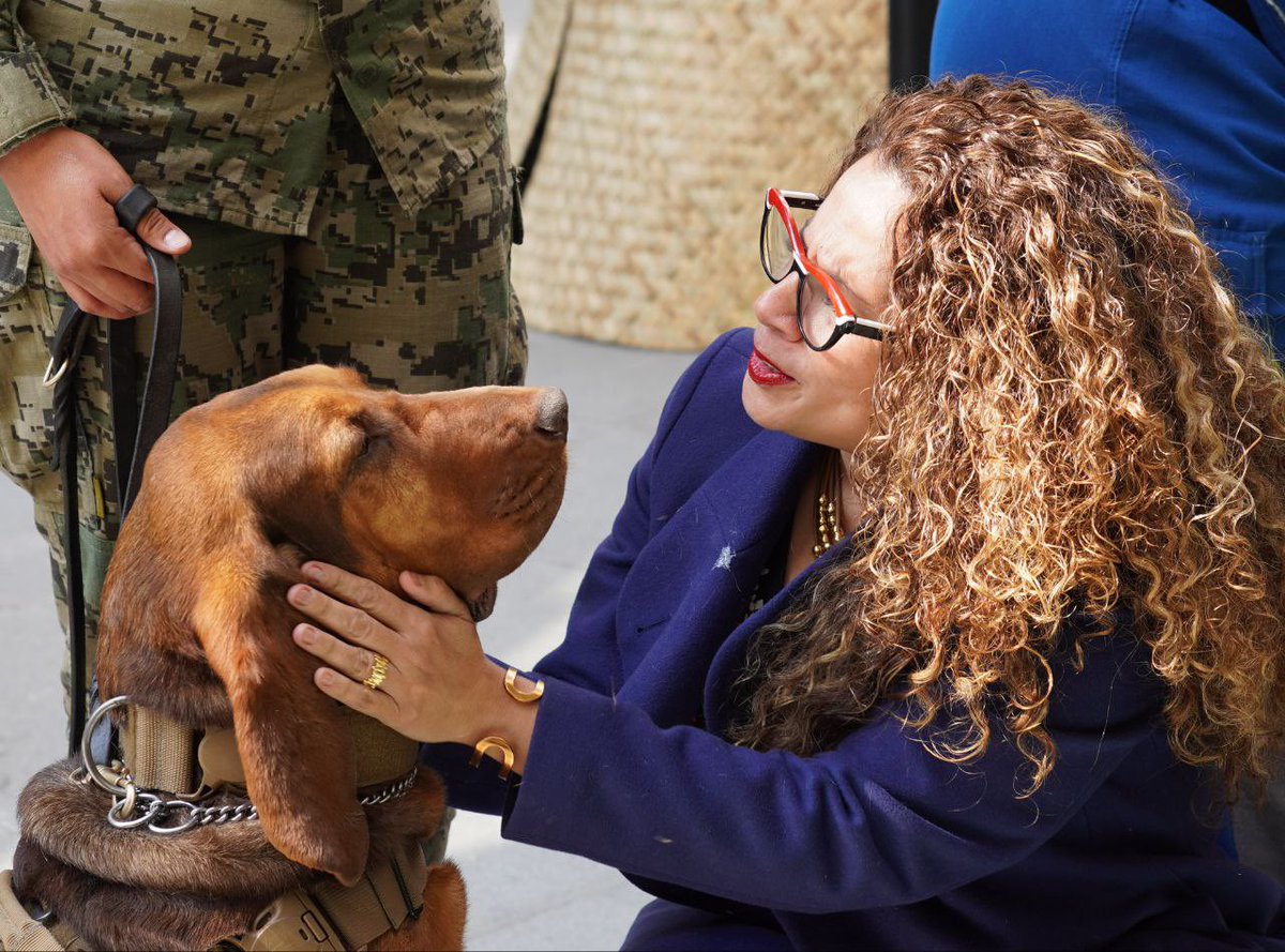RocioAbreuA's tweet photo. El es #MAX 👇😍🐶
Un perrito Sabueso, se enlistó en la Marina en 2019 y se suma a la lista de héroes de cuatro patas que han hecho un importante aporte a #México; entre matorrales, encontró a uno de los fundadores del Cártel de Jalisco.
Fue compañero de nuestra querida #Frida. https://t.co/oooDDlK2dF