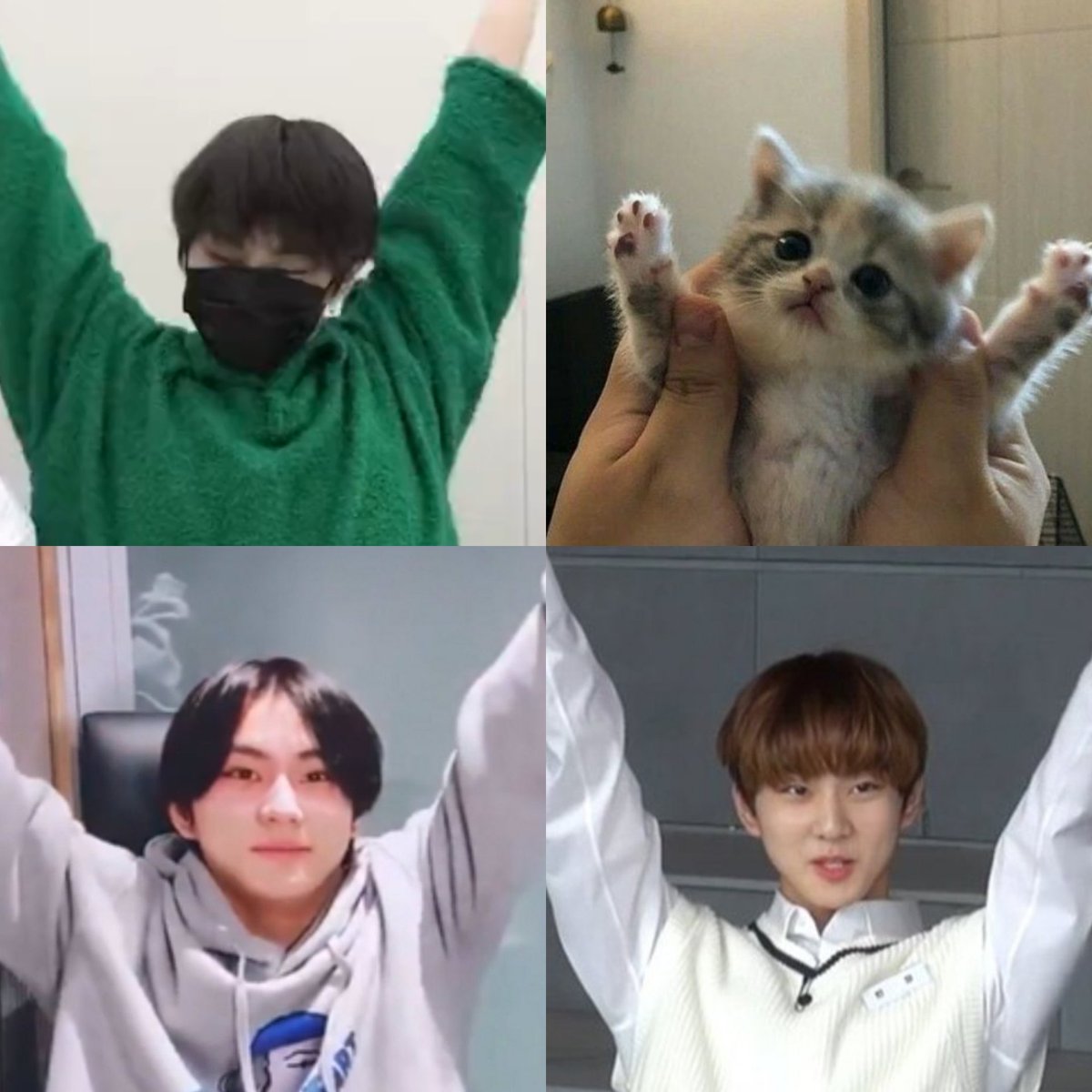 jungwon cat stretch ~