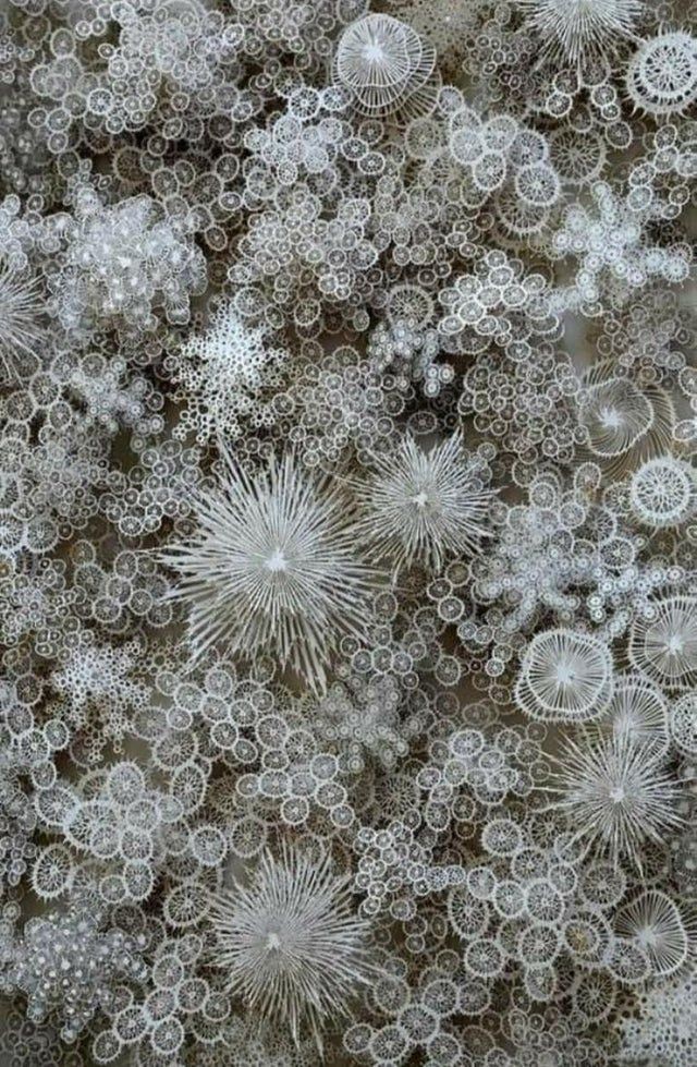 Snow in a microscope