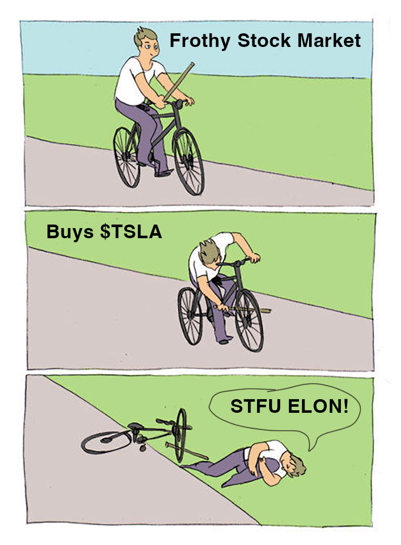 Some $TSLA "investors" be like: