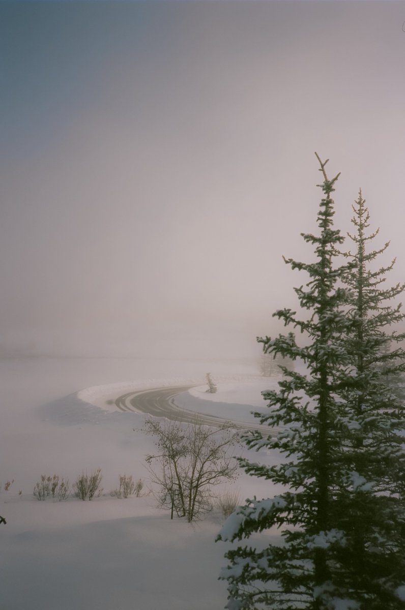 As the fog rolls in 🎞