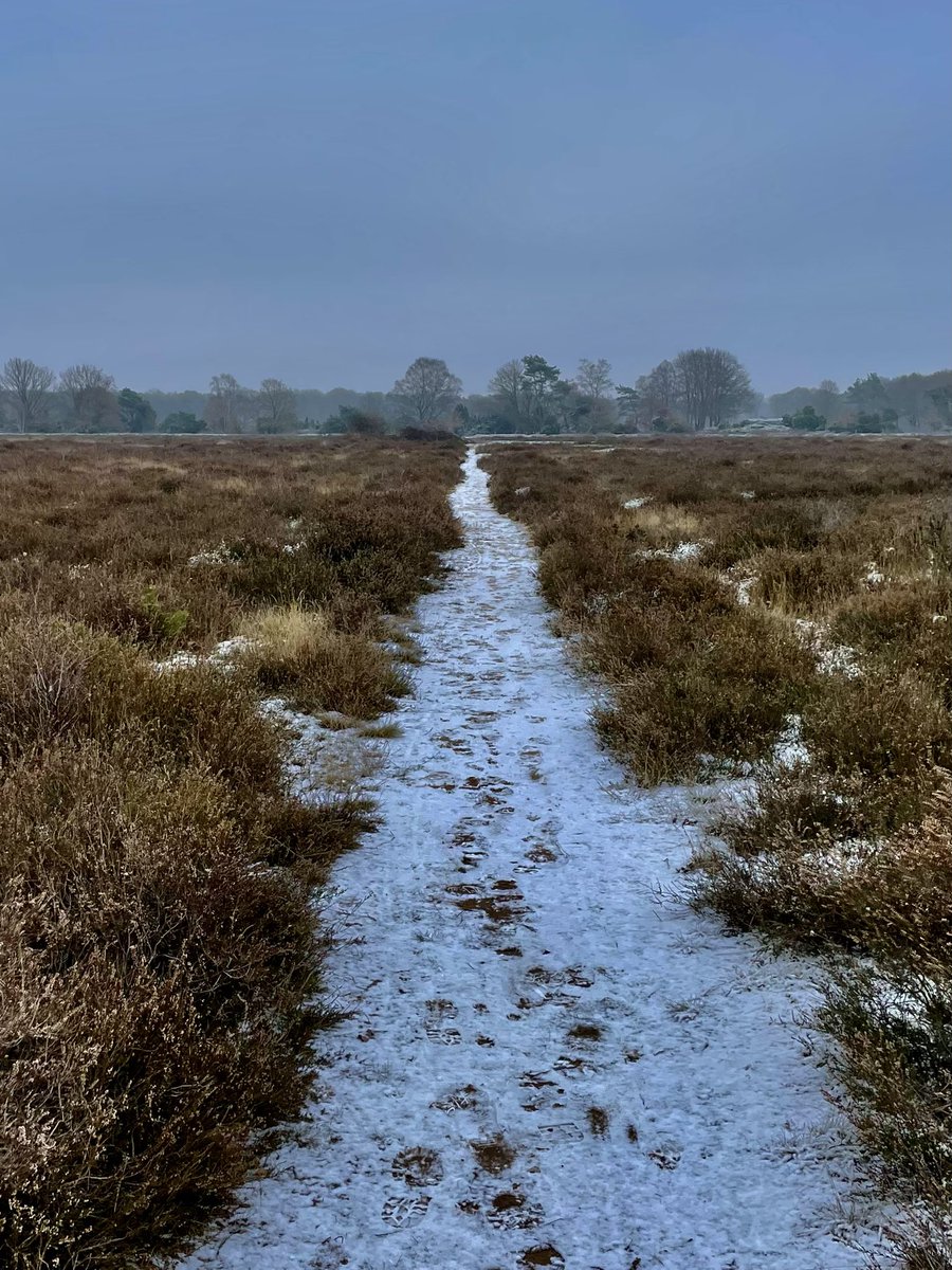 GastEllen's tweet photo. Een winterse wandeling vanmorgen met onderweg een high koffie bij kaarslicht. Dat was weer dikke schik met @WaandersR #Twentepad door Dal van de Mosbeek en cirkels van Mander https://t.co/JK5zu0TGrs