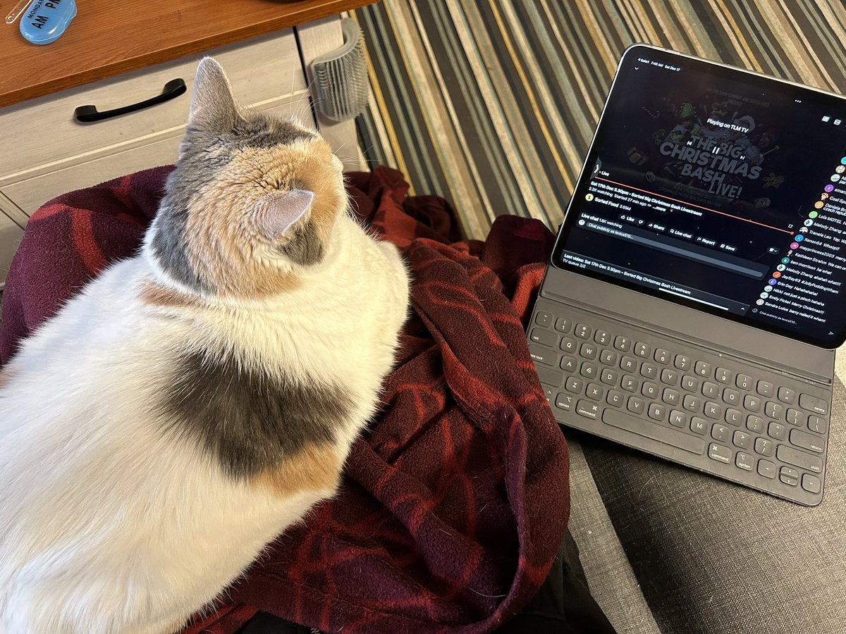 lexica's tweet image. All set for #SortedLive!