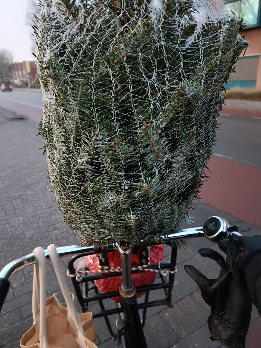 witchofthetest's tweet image. Dutch Christmas tree shopping. Same as last year but I got a bigger tree this year.