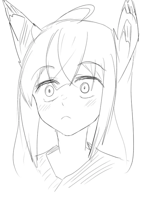 (⌒v⌒)おはようございます 