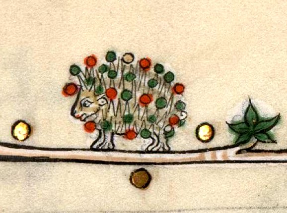 It's time! Behold the Christmas hedgehog!  (Verdun, Bibl.mun., ms 0107, f. 008)