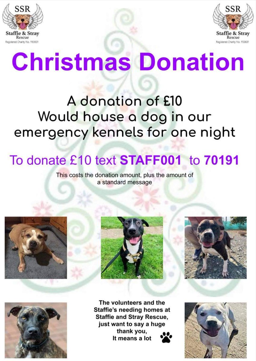 StaffiesRescue's tweet photo. 💜🐾It's an expensive time for everyone but if there are any spare pennies or perhaps you're considering instead of Christmas cards to make a donation to charity,please consider the dogs in our care.🐾💜 https://t.co/qd2Nx7bA7I