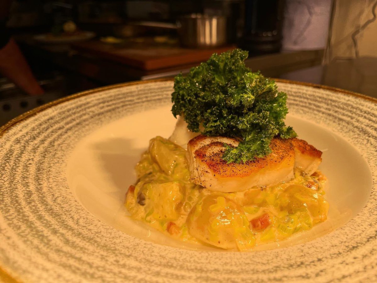 StagatMentmore's tweet photo. We LOVE this one on our Christmas Menu 🎄
Cod loin
Pancetta, Leek, Wild Mushroom
Kale Fricasse
Chive oil
Leek ash
#festivefish
#christmasmenu
#leekash https://t.co/FZmkpaPHzT