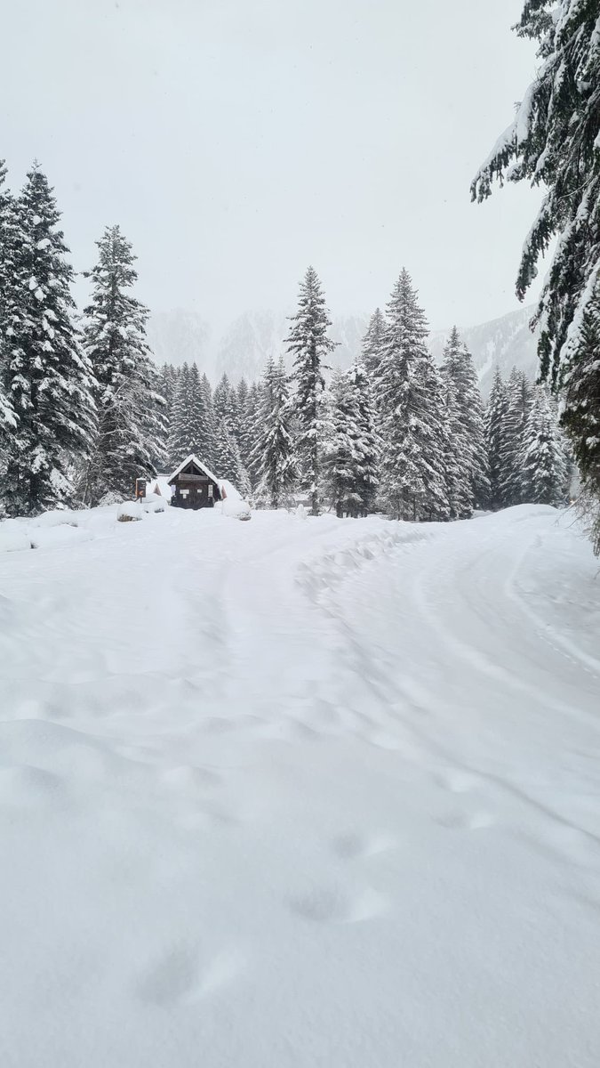 puremontagne's tweet photo. On vous attend pour venir profiter des joies de la montagne 🤩 https://t.co/wEqd1ecnIt