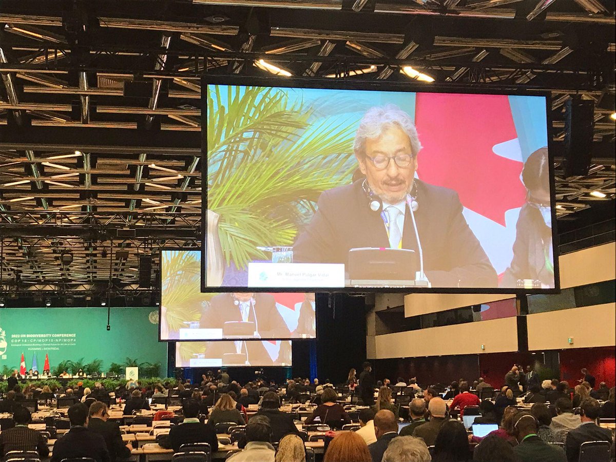 UNBiodiversity's tweet photo. #COP15HighLevelSegment:
@manupulgarvidal action agenda champion reports on "Sharm El-Sheikh 🇪🇬 to Kunming 🇨🇳to Montreal 🇨🇦Action Agenda for nature and people"
#COP15 🌱
🎥Watch live: https://t.co/81sa4sDZyA https://t.co/Ar3qbY6JJi