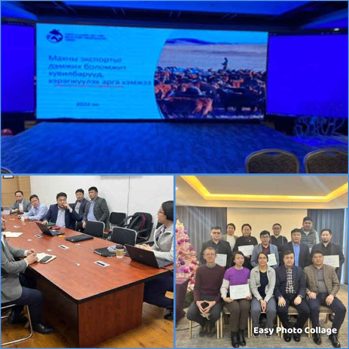 g_limonv's tweet photo. Very productive week discussing results &amp; next steps for #FMD control in #mongolia plus #capacitybuilding  https://t.co/BCS767OpOd https://t.co/8bWRFRrngz