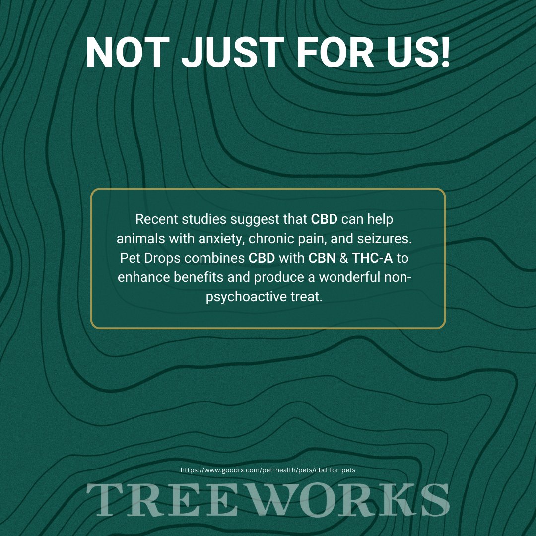 It's time we share the benefits of CBD with our best friends! 🐶😸🍃

Swipe through ➡️ to learn more about CBD!