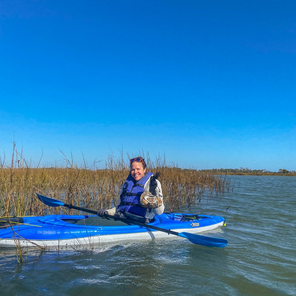 Our #conservation team recently added this special oyster shell bag to our restored reef in the #BHI creek! These oysters were adopted by you &amp; are signed with your names, messages &amp; well wishes for our growing reef 🦪 🤎

#oysterrestoration