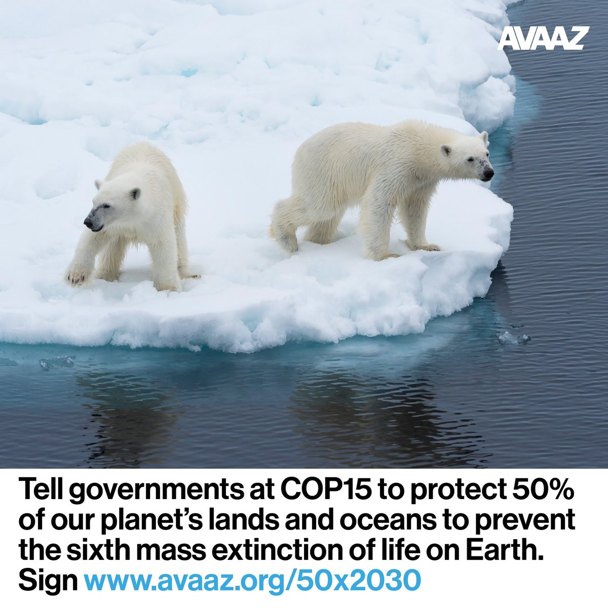 I just joined this call to conserve at least half of our lands and oceans so the planet and future generations have a chance. Join me by signing and sharing this @Avaaz petition: 
#NatureNeedsHalf #50x2030
avaaz.org/50x2030