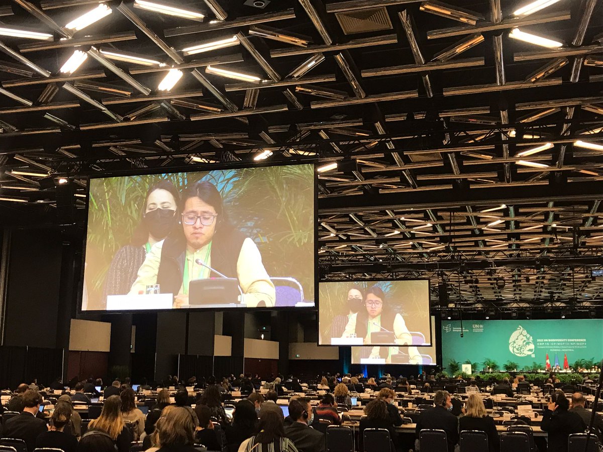 CBD_COP15's tweet photo. @mulenkei, elder with @IIFB_indigenous & Mr.Hector Alan Valdés Suárez a youth with @GYBN_CBD delivered a visionary intergenerational statement 💚🌏
#COP15HighLevelSegment #COP15
🔴🎥Watch live: https://t.co/iEiyctL8ax https://t.co/hQyqLUcxl9