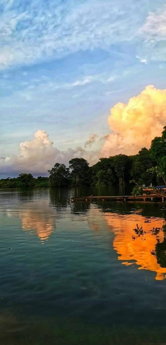 NMoskitiahn's tweet photo. J U A N  F R A N C I S C O  B U L N ES 
#NoticiasMuskitiaHn #Paisajes 
Este municipio de Juan Francisco Bulnes, esta ubicado en el extremo noroccidental del depto de Gracias a Dios, muy próximo al río Tinto o Negro y a la biósfera de Río Plátano. https://t.co/6VJHZbfLYQ