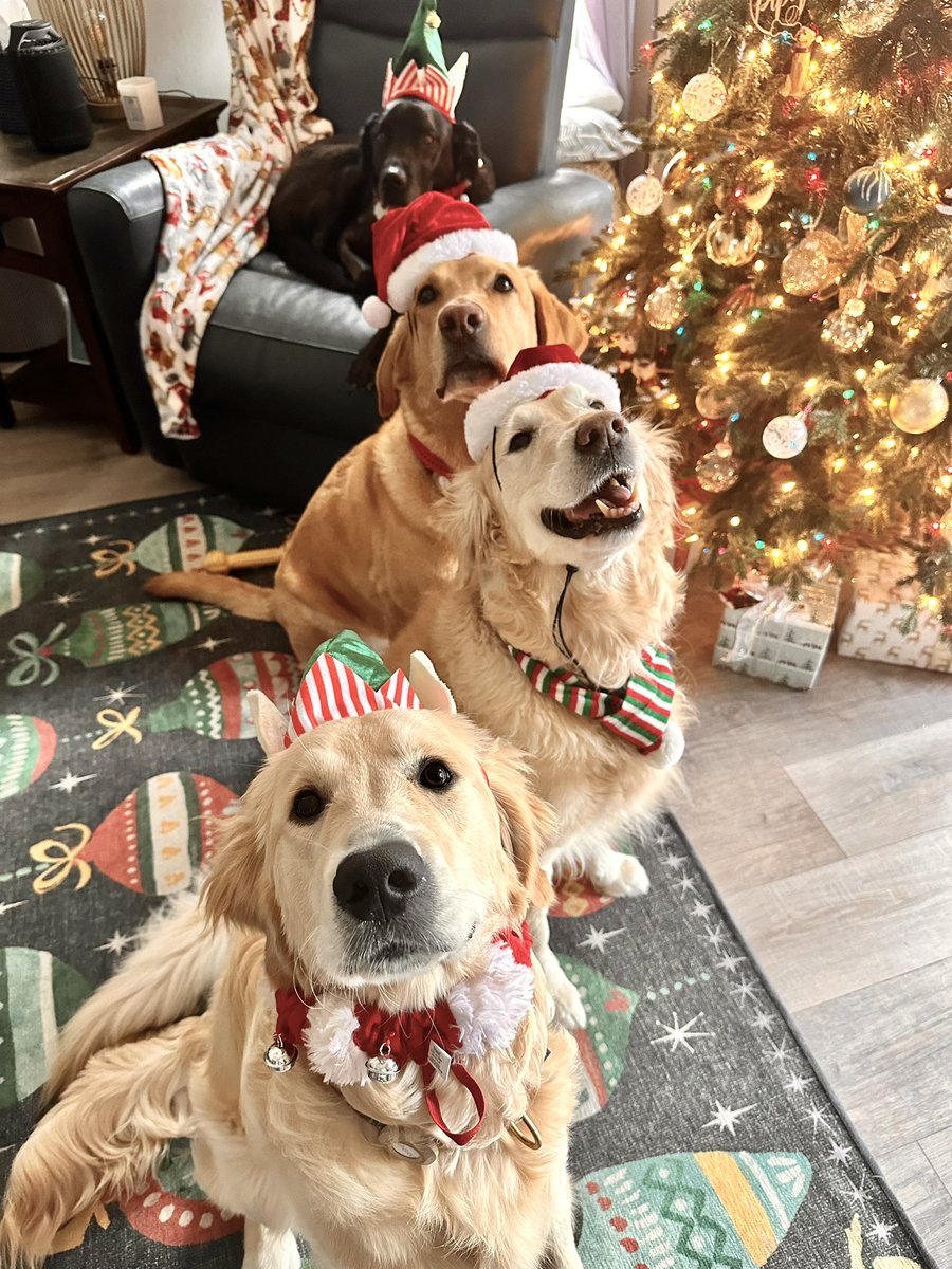 bpills19's tweet photo. Getting ready to eat all of Santa’s cookies https://t.co/uTcY3bZJWC