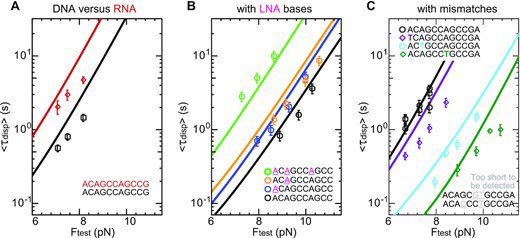 DNA_Nanotech's tweet image. Displacement and dissociation of oligonucleotides during DNA hairpin closure under strain 
academic.oup.com/nar/article/50…