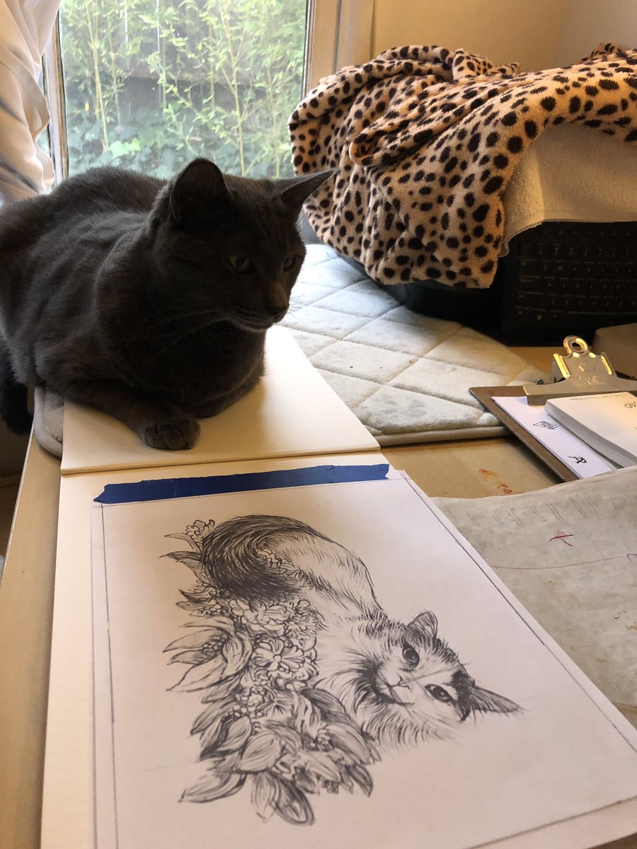 Happy #Caturday! (My personal Art Director). #petportrait #annpickard
