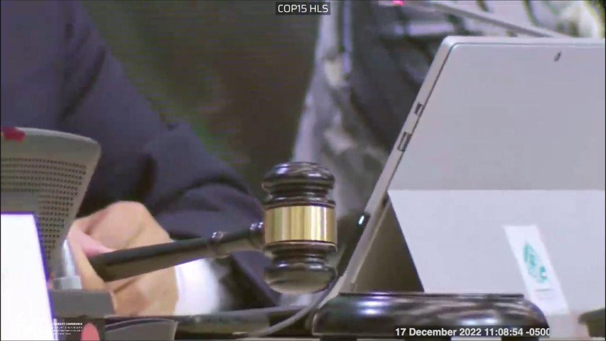 UNBiodiversity's tweet photo. The #COP15HighLevelSegment has been adjourned 🌿
Next up: the stock-taking plenary with Ministers! 🌱
🎥 Watch live: https://t.co/81sa4sVAq8 https://t.co/HFI8MIaHGO