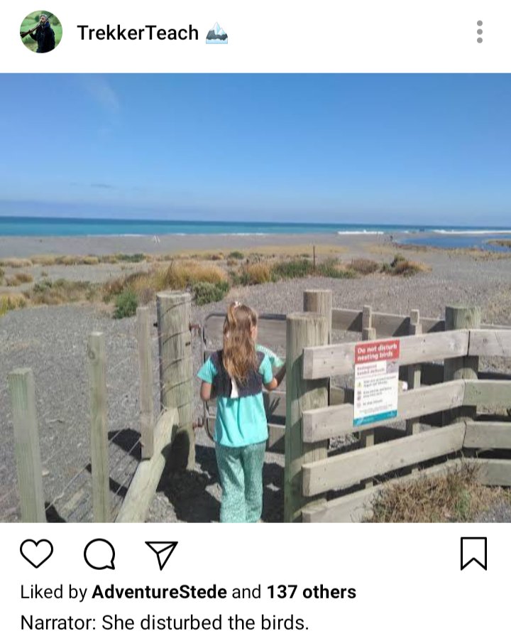 Ed's IG. Photo of girl heading to the beach with a sign that says not to disturb the birds. Caption reads "Narrator: She disturbed the birds" 