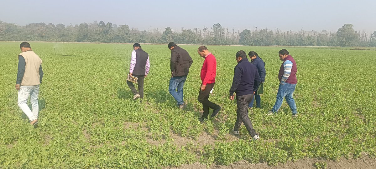 Kailashbhatt120's tweet photo. Pea Value Chain working group interact with farmers and seed growers of US Nagar ....
#valuechainstudy
#greenpea
#millet
#localforvocal
#REAP
#Hilans
@SecyRDUK @basava_ias @IFADSouthAsia @MoRD_GoI @nitikakh22 https://t.co/IvssSrdPHM