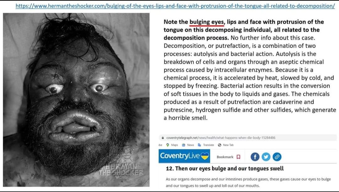 thechonkygod tweet picture