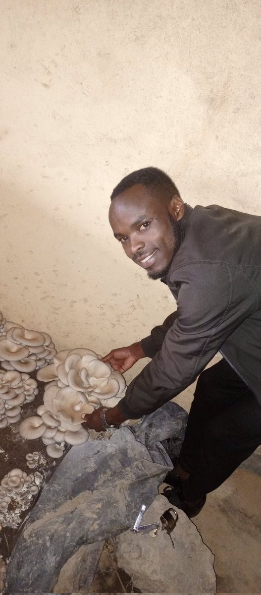 EmmyGisa3's tweet photo. Good evening Fellow farmers 👋 Now I'm in my Farm and  You can order the Mushrooms 😜 https://t.co/w5cqXHFmAq